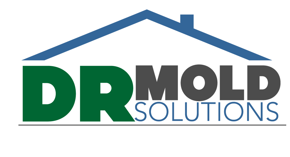 DR Mold Solutions